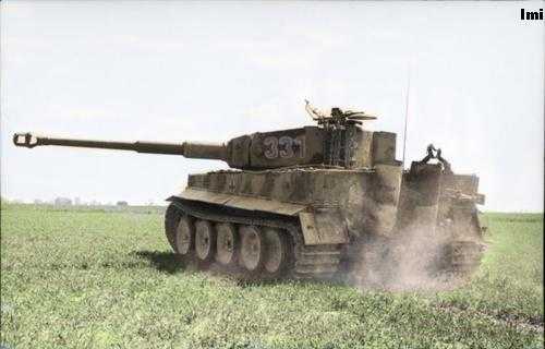 Tiger Leaving