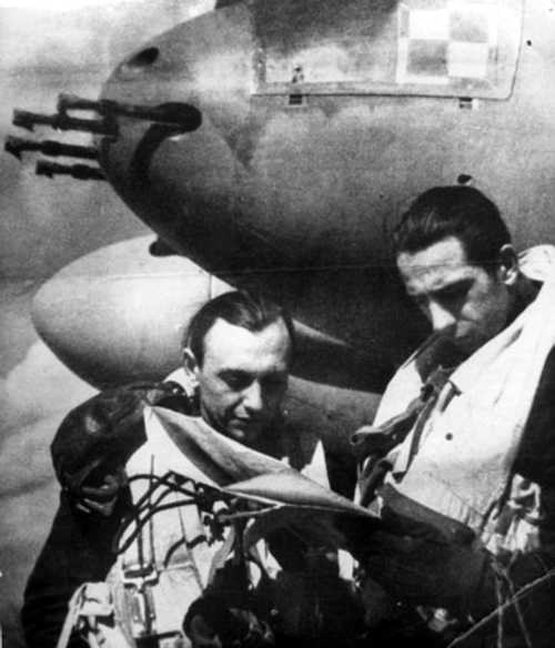Division 305 'Ziemi Wielkopolskiej'