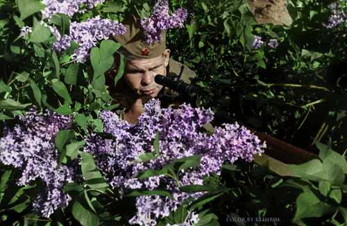 Sniper Nikolay Ilyin, 494 kills