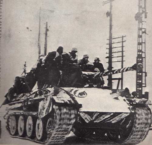 Panther near Breslau