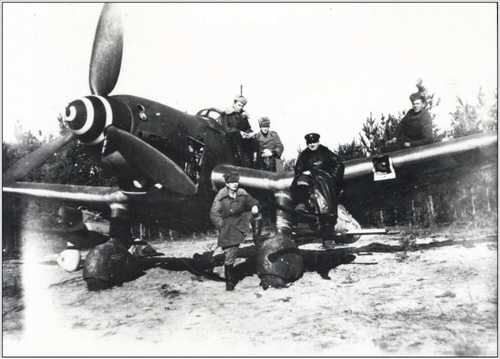 Captured Stuka