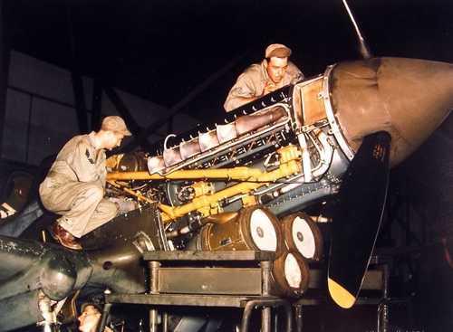 Curtis P-40