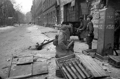 Anti-tank gun in position