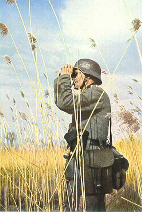 Searching the battlefield