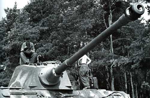 Field applied Camo Tiger II