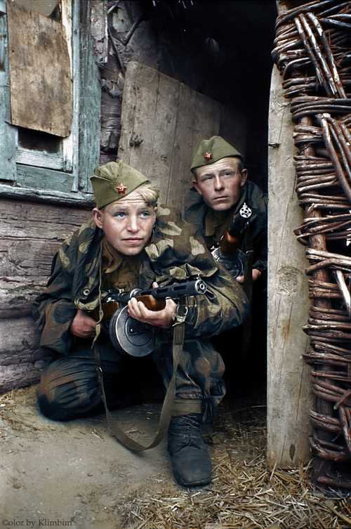 Bryansk Front 1942