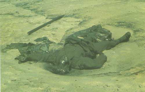 Dead Allied soldier