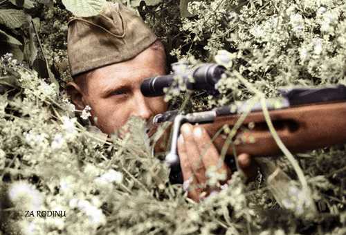 Sniper Sheremetev 