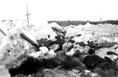 In winter posts