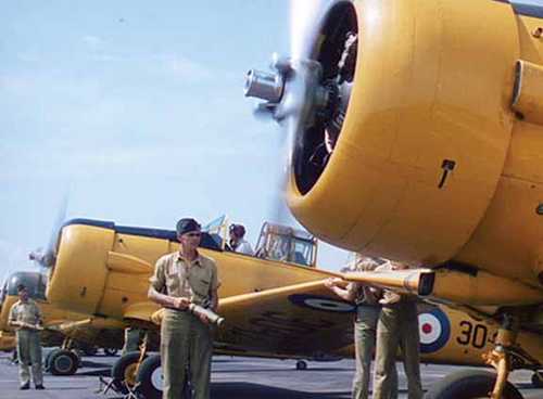 RCAF Harvard IIs