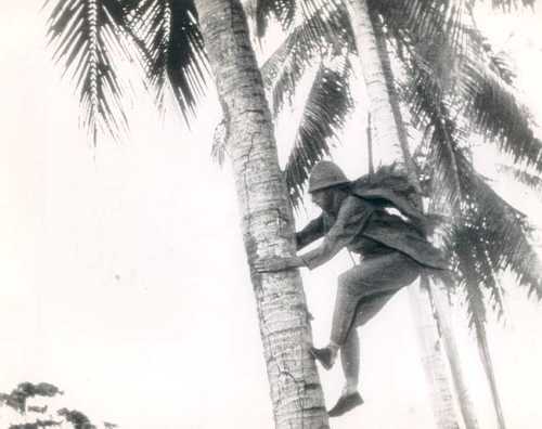 Japanese Sniper in Guadalcanal