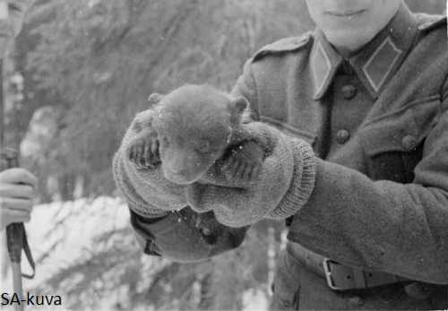 Finnish soldier with few week old teddy