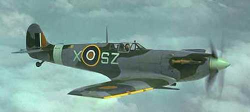 spitty_with_clipped_wings