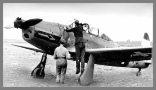 German Arado-96 Trainer in RHungarianAF