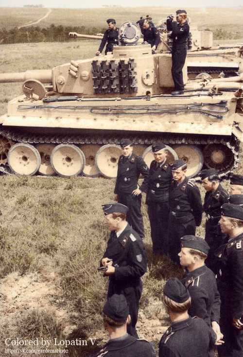 Tiger's crew.