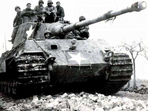 Captured Royal Tiger