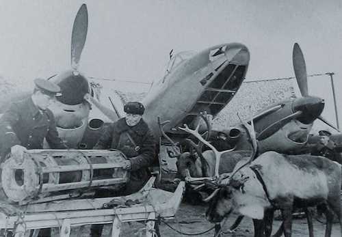 A Chukchi and reindeer help unload bombs.