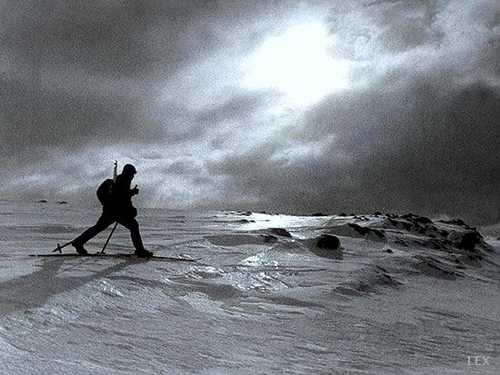 Northern polar circle