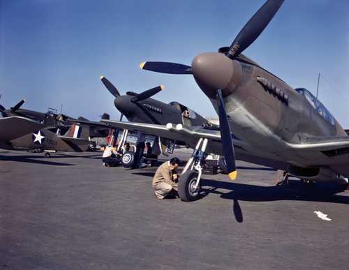 Mustangs on Flight Line