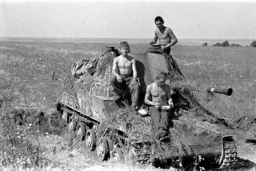 Grab a meal on top of an AA gun