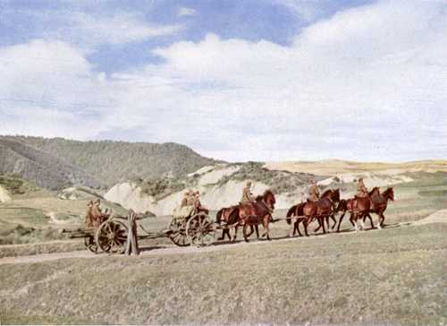 Hungarian field-artillery on march