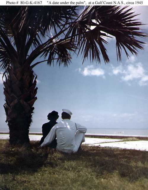 &quot;A date under the Palm&quot;  at a Gulf Coast N.A.S
