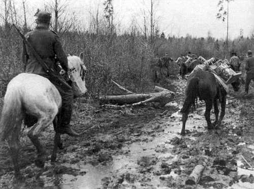 Sometimes a horse is needed