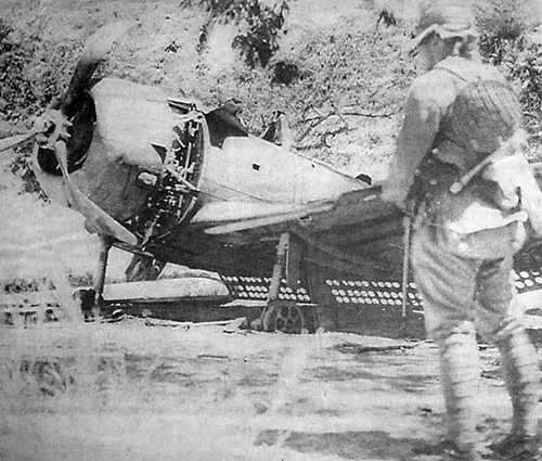American Dive Bomber down