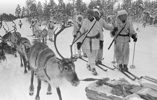 Reindeer patrol
