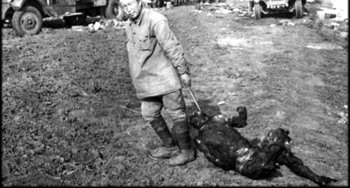 Soviet POW