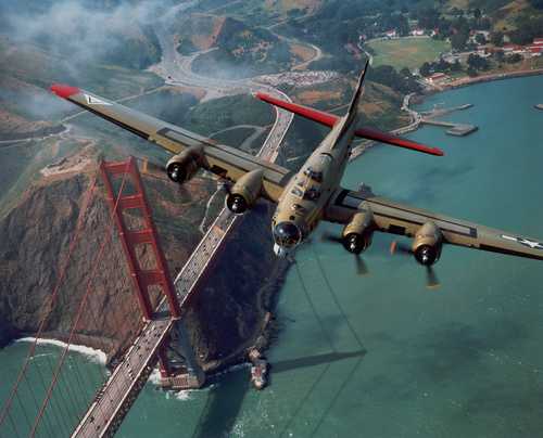 Wings of Freedom