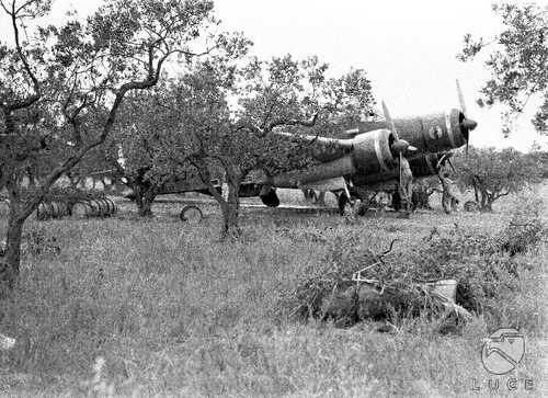 On a Sicilian airfield