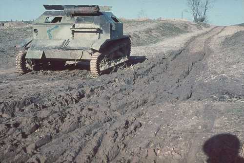 Polish, small tank, TKS