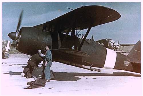 Italian Fiat CR.42 Falco