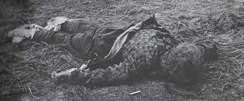 Dead German 