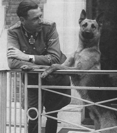 Four-legged friend.
