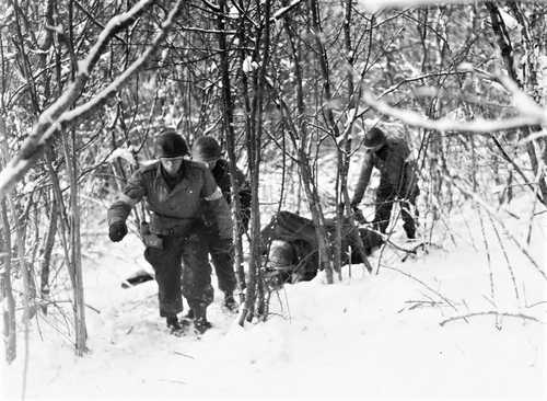 Wounded in the woods