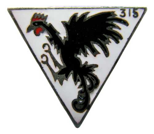 Division 315 ‘Dębliński’