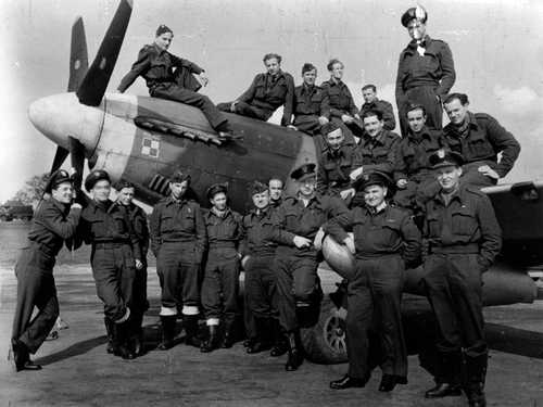 Division 309 'Ziemi Czerwieńskiej'