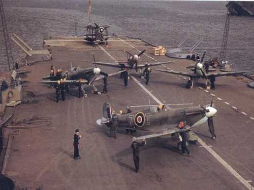 seafires