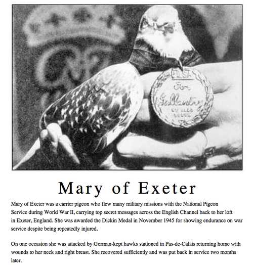 Dove of War.