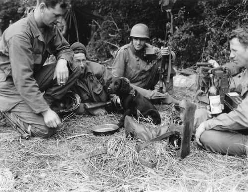 Tough guys with a puppy