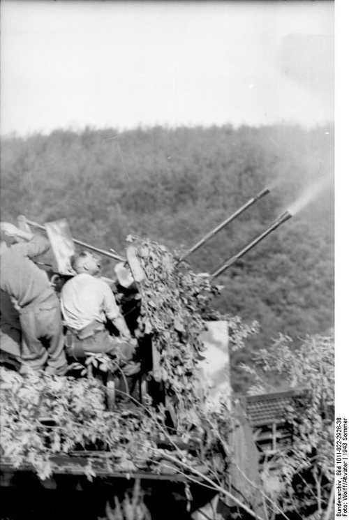 Camouflaged 2 cm Flakvierling 38 AA [2]