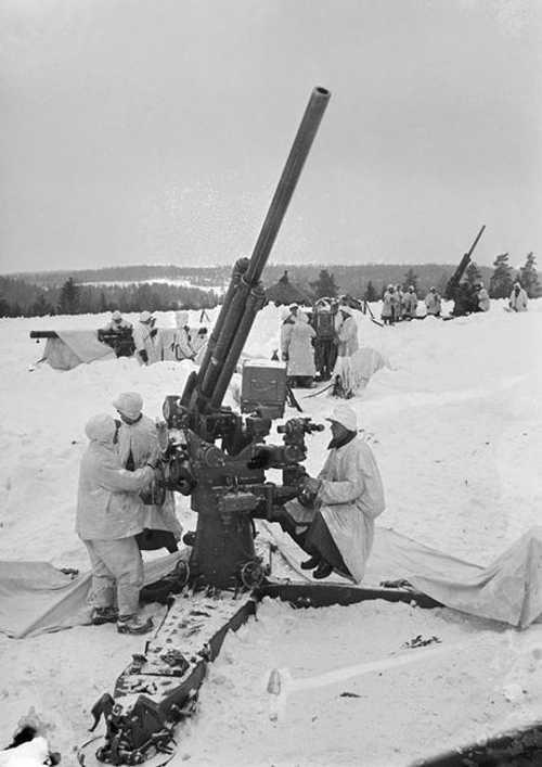AA-guns in war exercise
