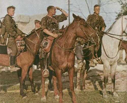 Waffen SS cavalry