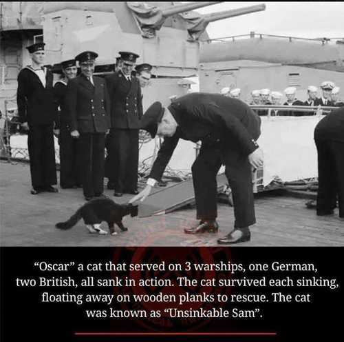 Unsinkable Oscar