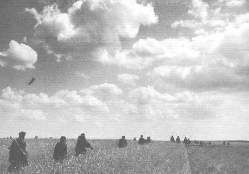 In the field