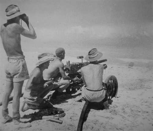 Aussies in North Africa