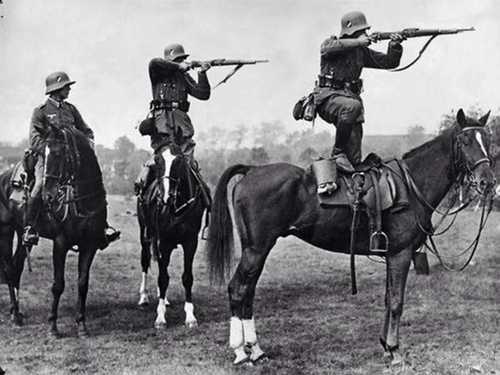 Training the horses