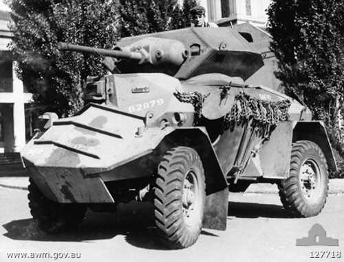 Rhino AFV